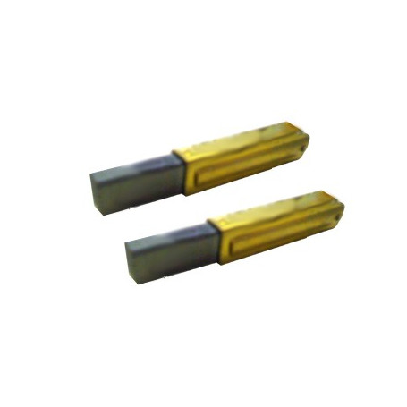 Charbons ElectroMotor x 2