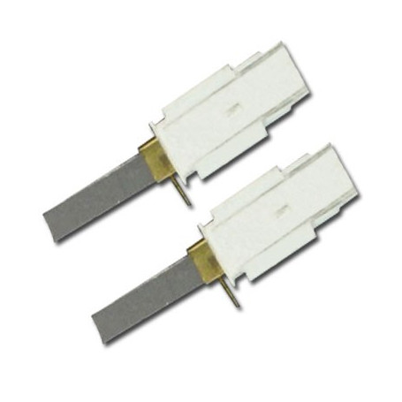 Charbon Moteur 119903