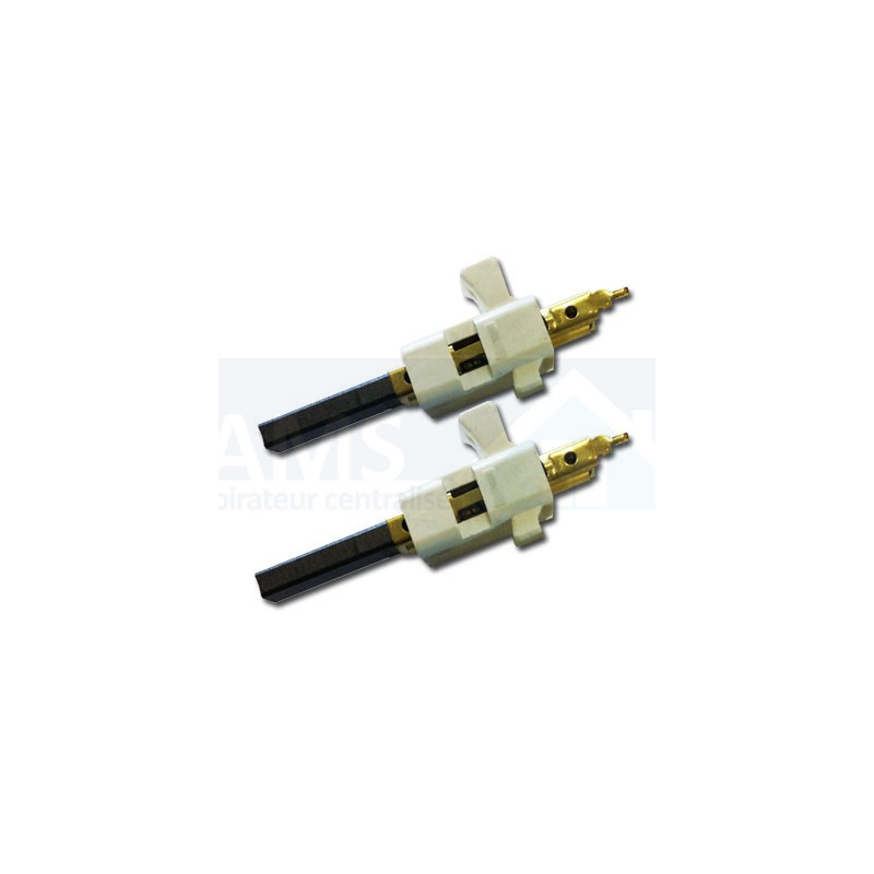 Charbons hoover sensory 2200 watts 462.3.651-9 Références Charbons ...