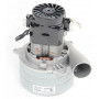 TREMA 381 - 117123