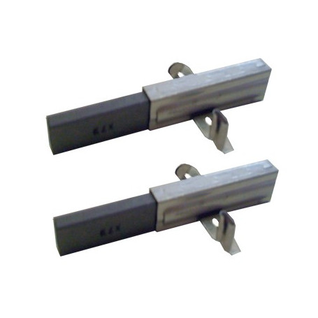 Charbons pour moteur NILFISK